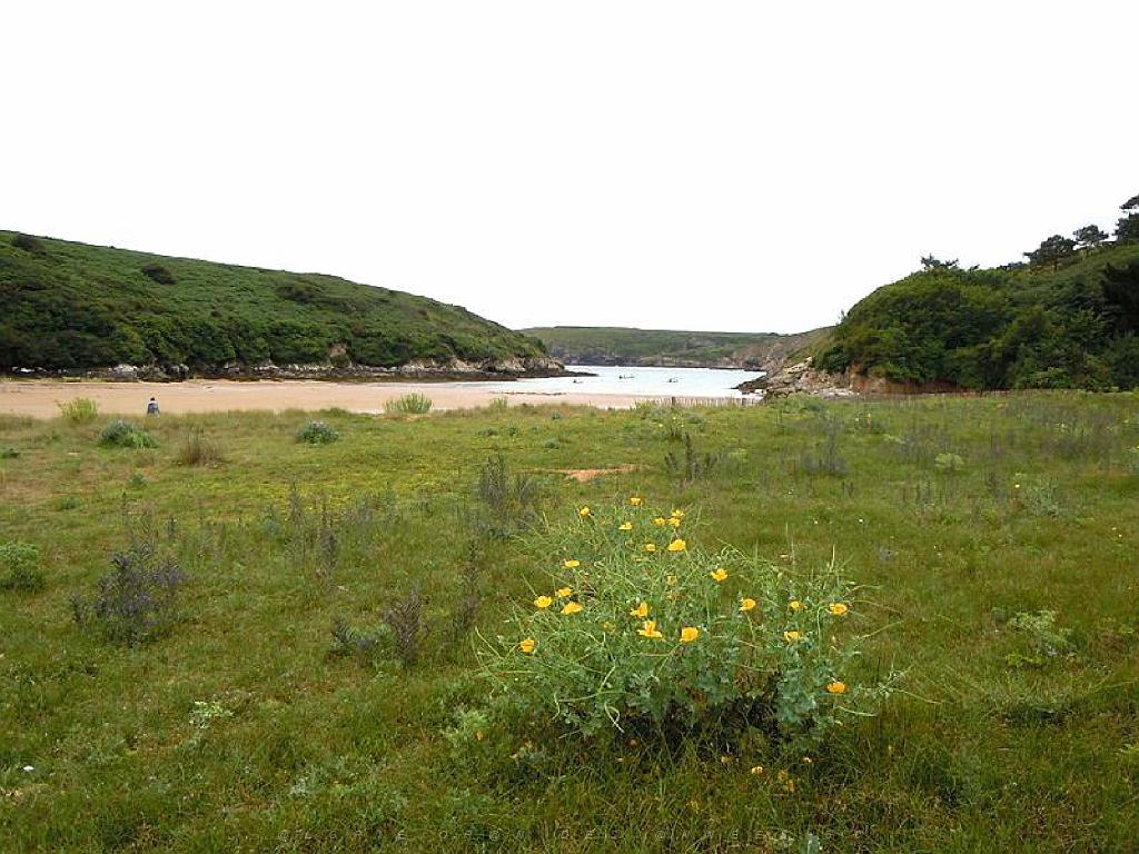 156 BELLE ILE EN MER BANGOR_000039.jpg